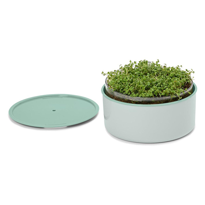 Tchibo Bitki Yetiştirme Seti, “microgreens”