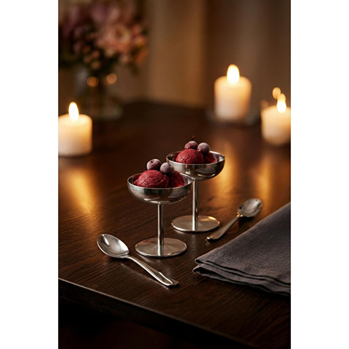 Vienev 2'li Gümüş Renk Metal Dondurmalık Seti - Şık Sunum Ve Tatlı Kasesi