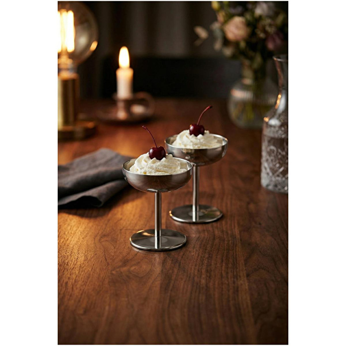 Vienev 2 Adet Metal Dondurma Ve Tatlı Servis Seti