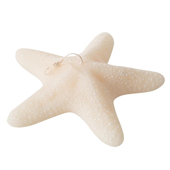 Mudo Home Deni̇z Yildizi Mum 21x5cm