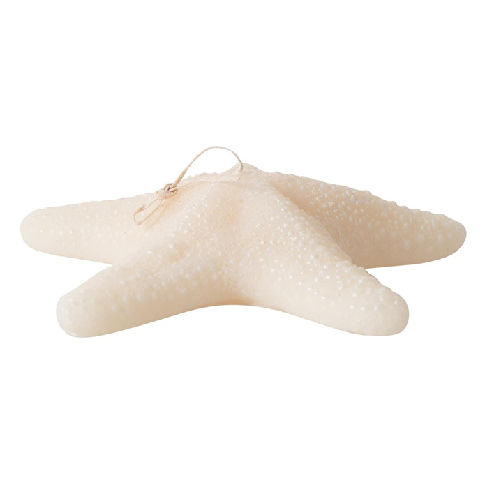 Mudo Home Deni̇z Yildizi Mum 21x5cm