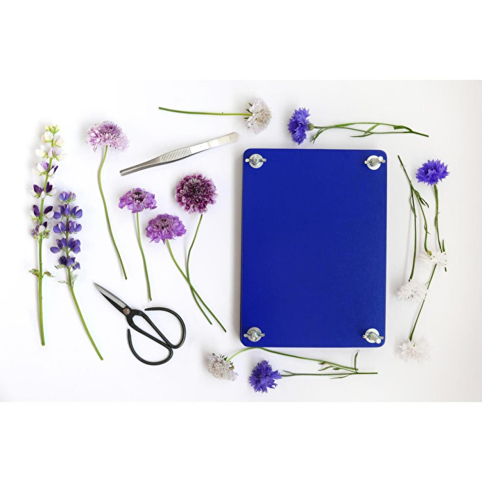 Printworks Kit - Çiçek Kurutma Seti