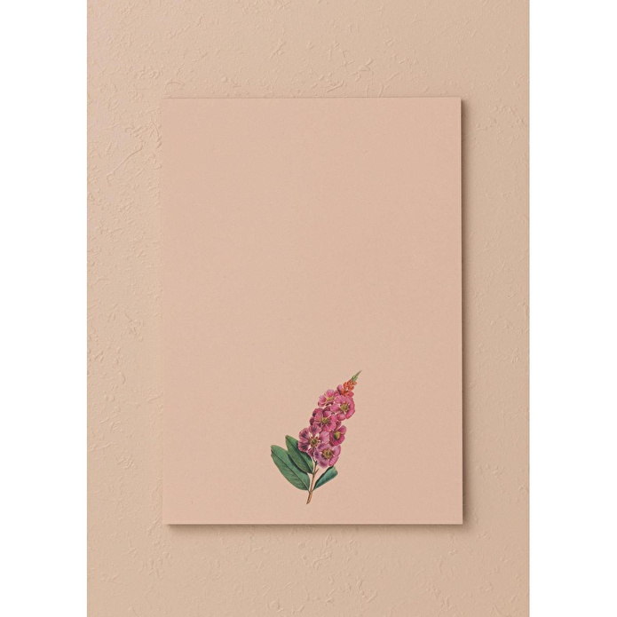 The Mia Art Line Mini Notluk Prelude 15 X 21 Cm 40 Yaprak