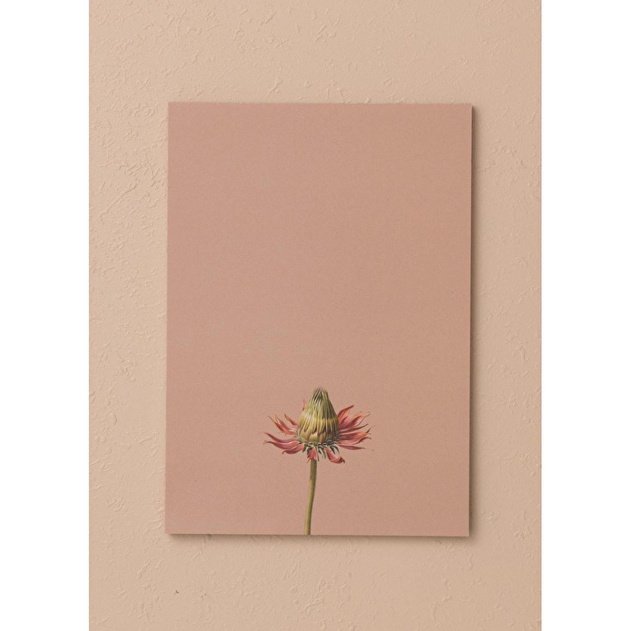 The Mia Art Line Mini Notluk Coneflower 15x21 Cm 40 Yaprak