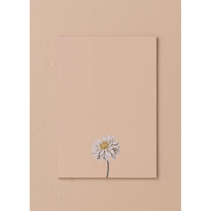 The Mia Art Line Mini Notluk Dahlia 15 X 21 Cm 40 Yaprak