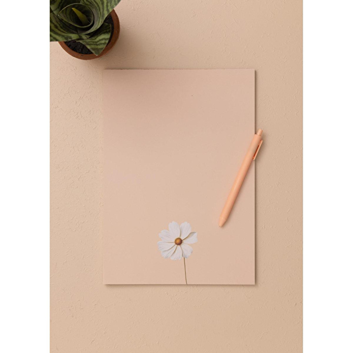 The Mia Art Line Mini Notluk Cosmea 21x30cm 40 Yaprak