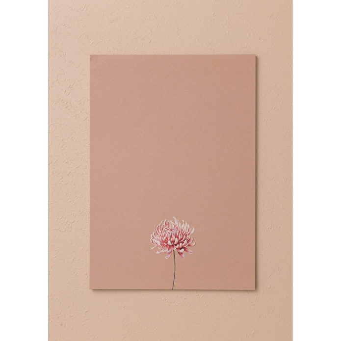 The Mia Art Line Mini Notluk Chrysanthemum 21x30cm 40 Yapr