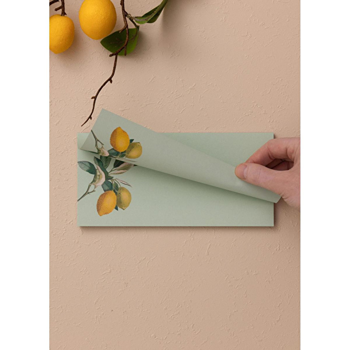 The Mia Art Line Mini Notluk Hangover 10 X 21 Cm 40 Yaprak