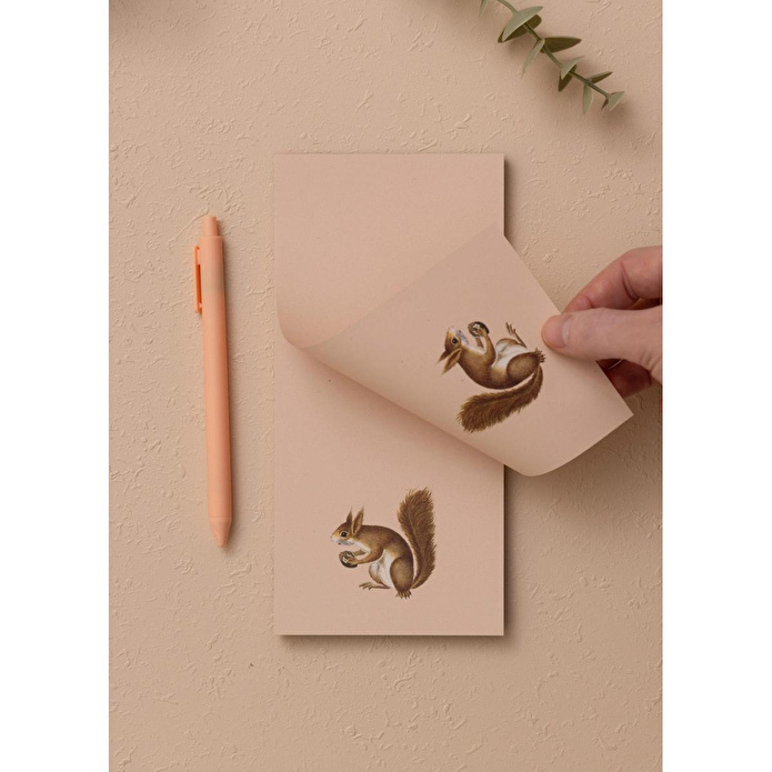 The Mia Art Line Mini Notluk Squirrel 10 X 21 Cm 40 Yaprak