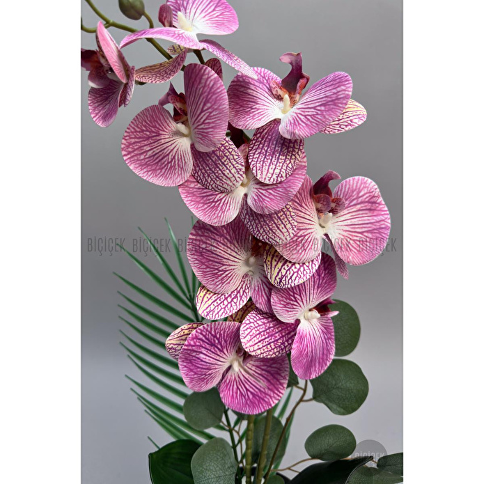 Biçiçek Yapay Phalaenopsis Orkide Buyuk Boy