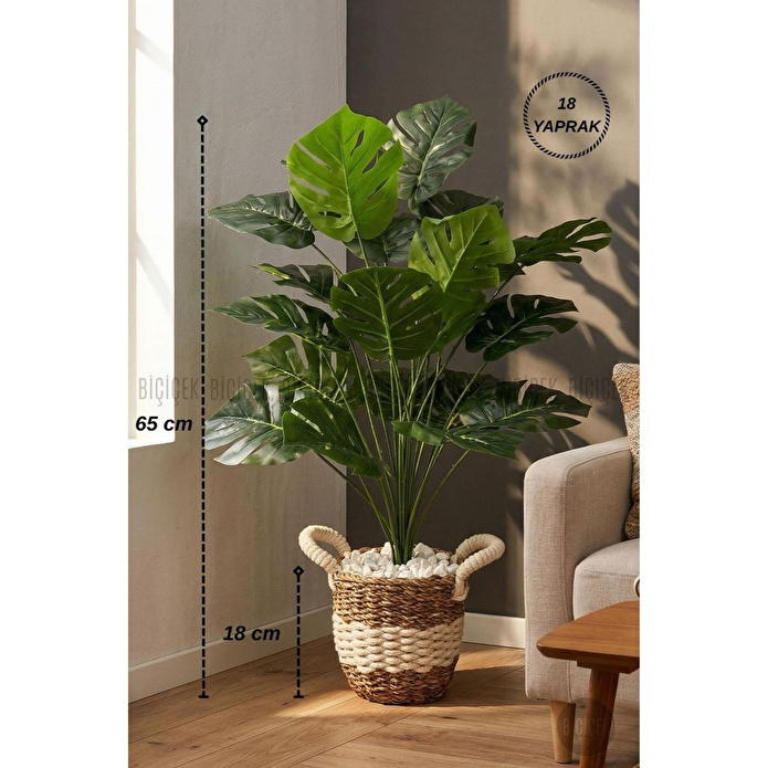 Biçiçek Monstera Bitkisi Krem Örgülü Hasır Saksıda