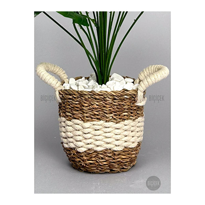 Biçiçek Monstera Bitkisi Krem Örgülü Hasır Saksıda