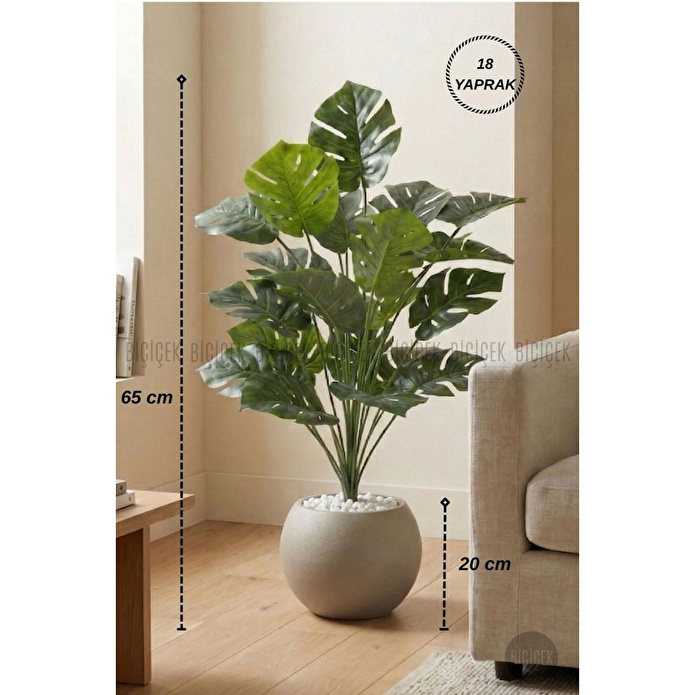 Biçiçek Monstera Bitkisi 65 Cm Küre Saksıda
