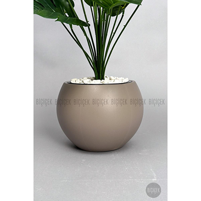 Biçiçek Monstera Bitkisi 65 Cm Küre Saksıda