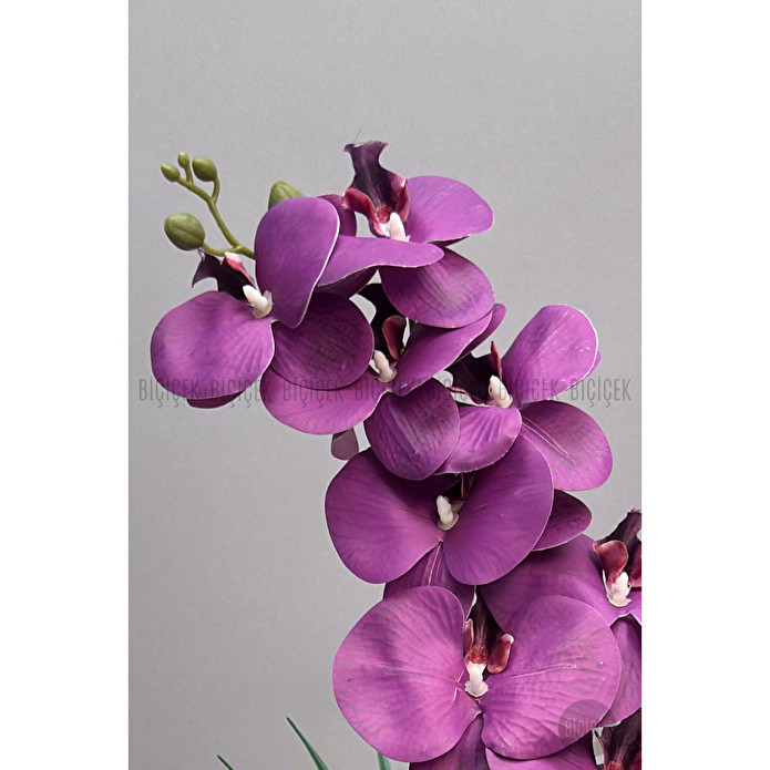 Biçiçek Yapay Phalaenopsis Orkide Buyuk Boy