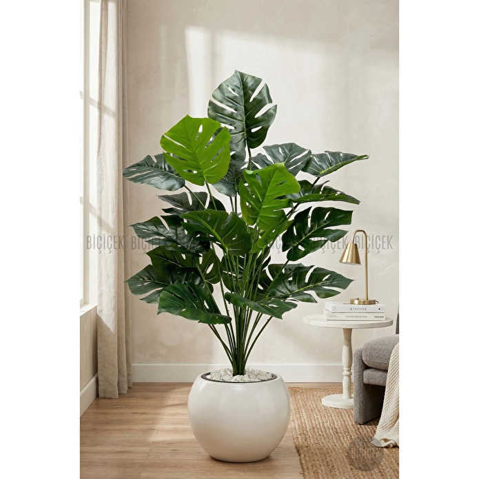 Biçiçek Monstera Bitkisi 65 Cm Küre Saksıda