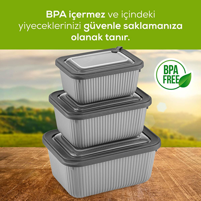 Vienev 3'lü Mikrodalga Ve Difrize Uygun Vip Kapaklı Özel Saklama Kabı Seti Antrasit