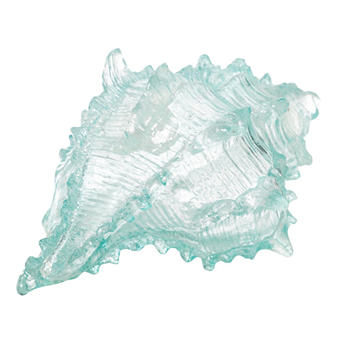Mudo Home Ocean Shell Bi̇blo 20x16x12 Cm