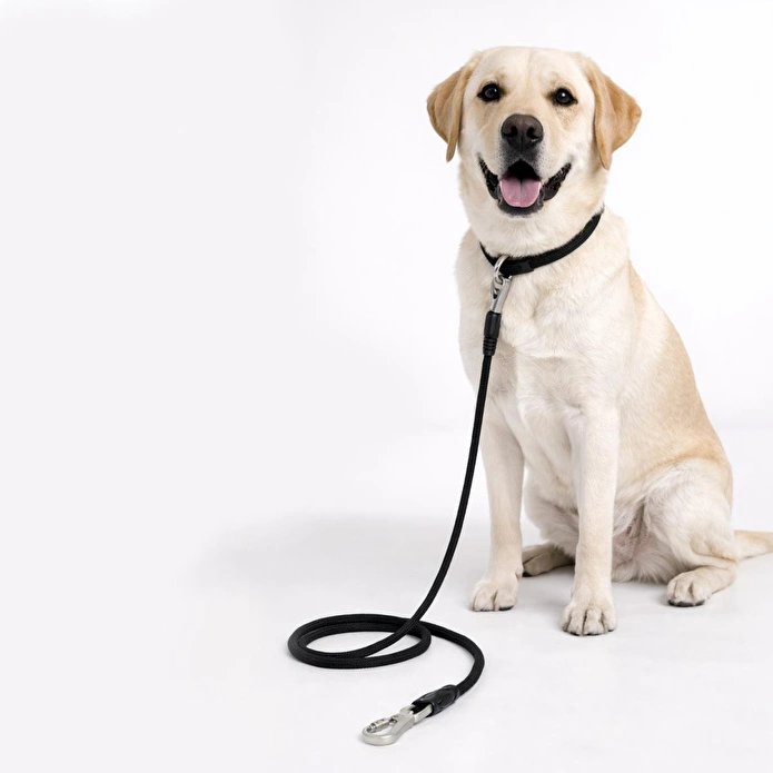 Bloominbag Polypropylene Rope Leash - 11mm/180cm