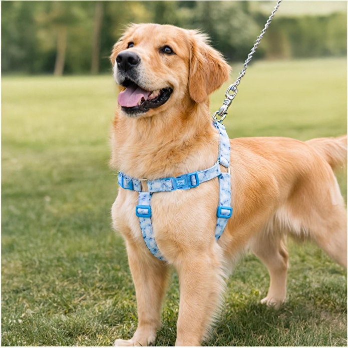 Bloominbag Swissplus Urban Paws Blue Batic Geri Dönüştürülmüş H-tipi Köpek Göğüs Tasması-2xs