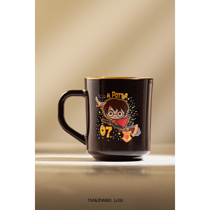 Rakle Harry Potter 2'li Kupa Seti 250 Cc