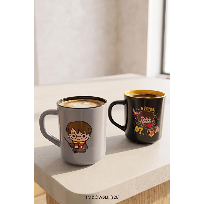 Rakle Harry Potter 2'li Kupa Seti 250 Cc