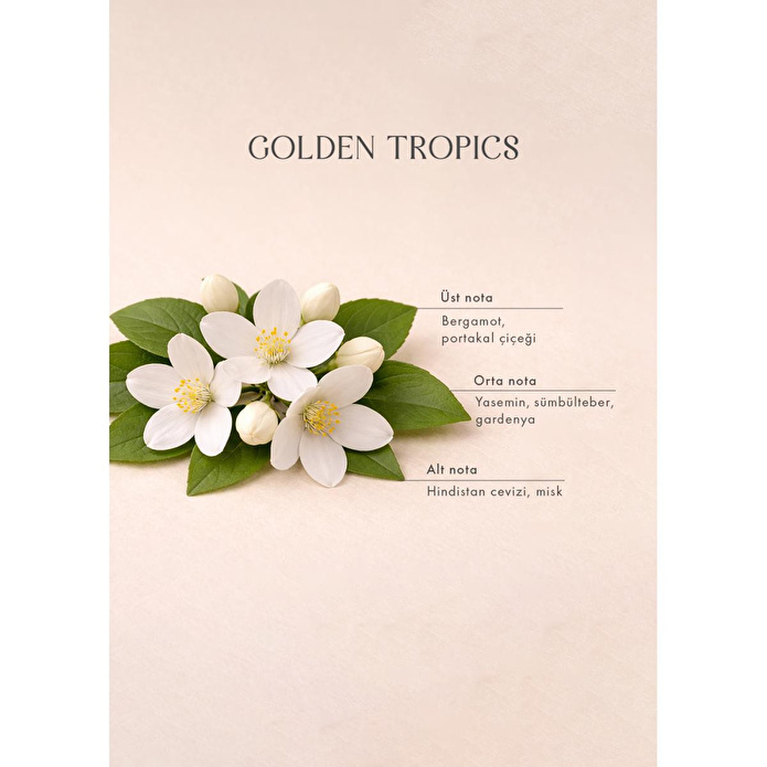 Bella Maison Golden Tropics Soya Wax Kokulu Mum Yeşil (120 Gr) Yeşil