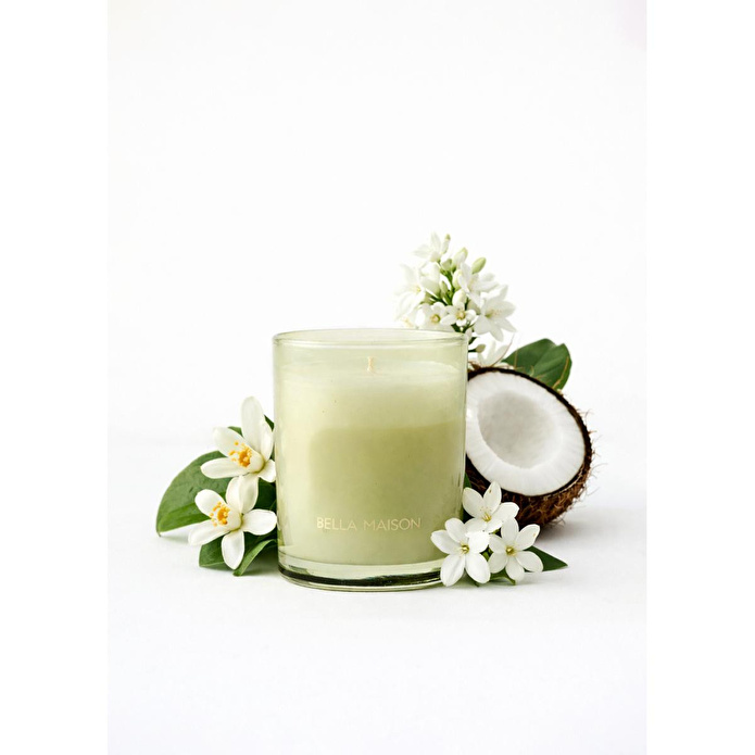 Bella Maison Golden Tropics Soya Wax Kokulu Mum Yeşil (120 Gr) Yeşil