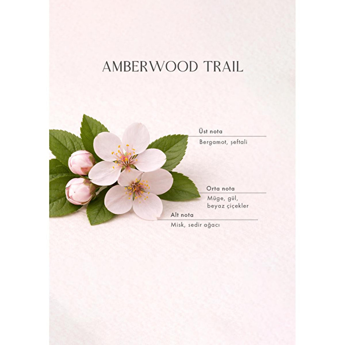 Bella Maison Amberwood Trail Çubuklu Oda Kokusu Sarı (100 Ml) Sarı