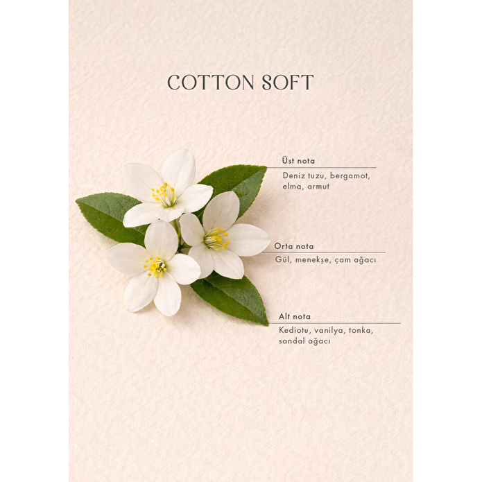 Bella Maison Cotton Kumaş Spreyi (500 Ml) Kahverengi
