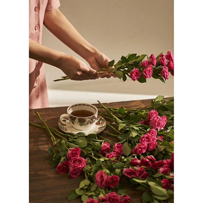 Bella Maison Rose 2'li Porselen Çay Fincanı Seti (270 Cc) Çok Renkli