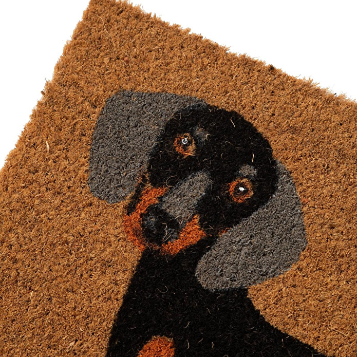 Mudo Home Dog Kapi Paspas 40x60 Cm