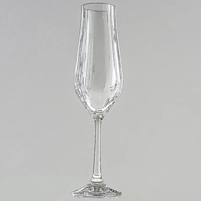 Jumbo Tulipa Şampanya Kadeh Takımı