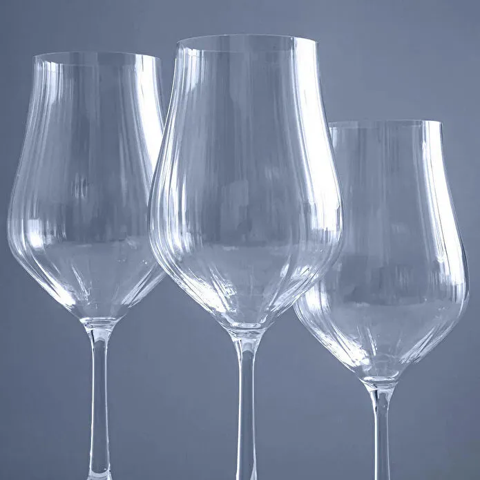 Jumbo Tulipa 6'lı Kadeh Takımı 350 ml