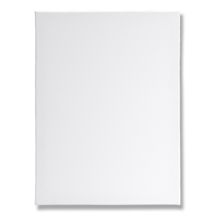 Flying Tiger Copenhagen Kanvas Tuval 30 cm x 40 cm