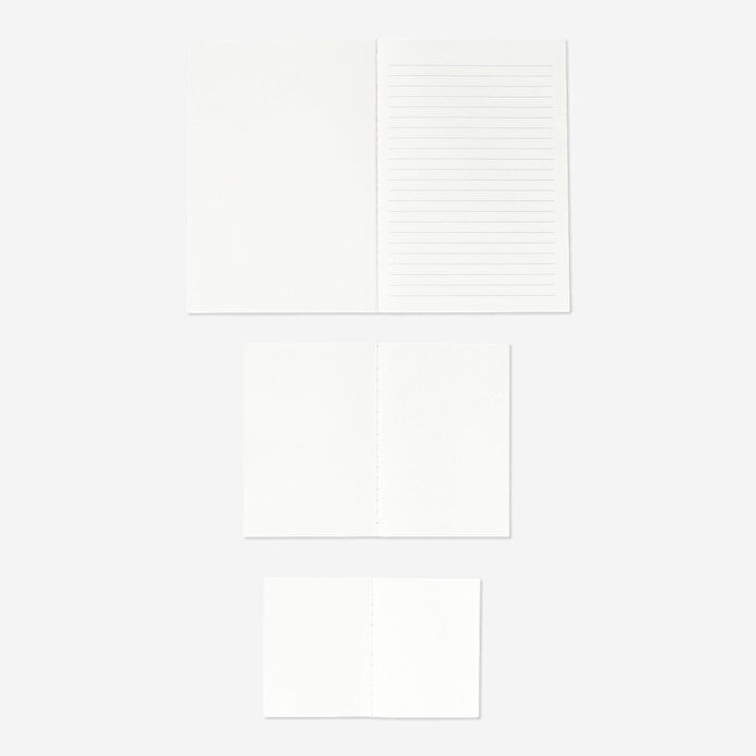 Flying Tiger Copenhagen 3'lü Çizgisiz, Çizgili ve Planlayıcı Defter Seti