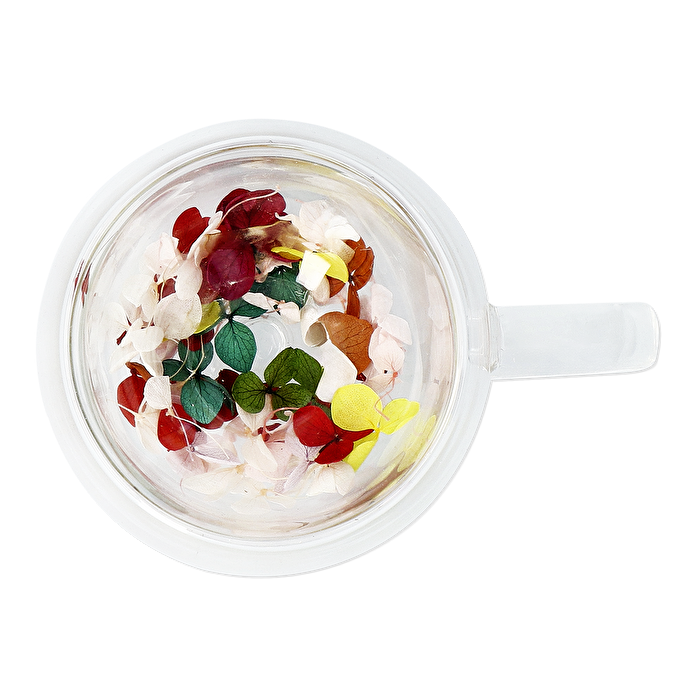 Flying Tiger Copenhagen Kurutulmuş Çiçek Detaylı Çift Cidarlı Cam Kupa