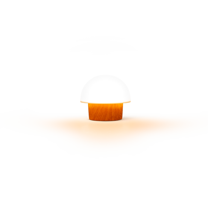 Flying Tiger Copenhagen Ahşap Görünümlü Beyaz Bahçe Lambası