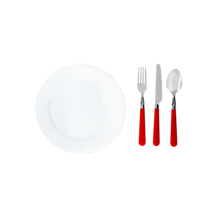 Flying Tiger Copenhagen 2 Kişilik Çantalı Tabak ve Çatal Kaşık Bıçak Seti