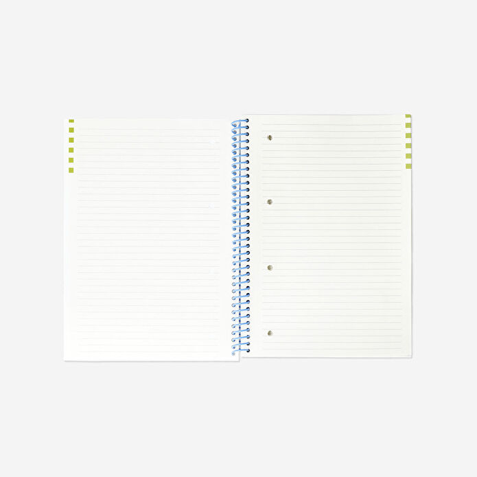 Flying Tiger Copenhagen Yeşil Çizgili Kapaklı Spiralli Defter A4
