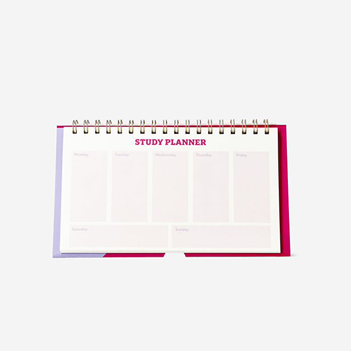 Flying Tiger Copenhagen Pembe Zaman Çizelgeli Masaüstü Planlayıcı