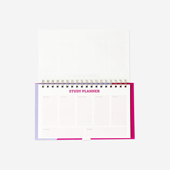 Flying Tiger Copenhagen Pembe Zaman Çizelgeli Masaüstü Planlayıcı