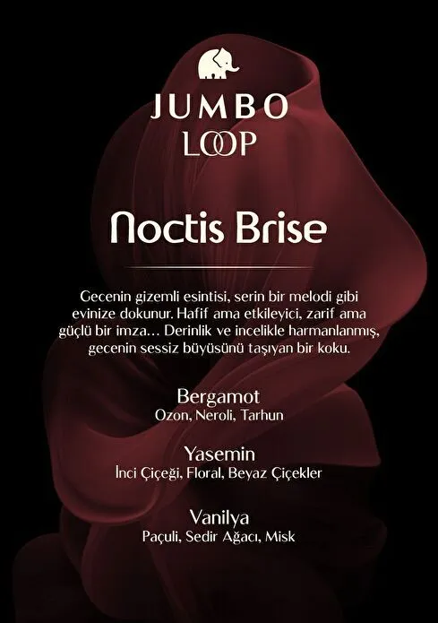 Jumbo Loop Noctis Brise Çubuklu Oda Kokusu, Mat Burgendy Şişe