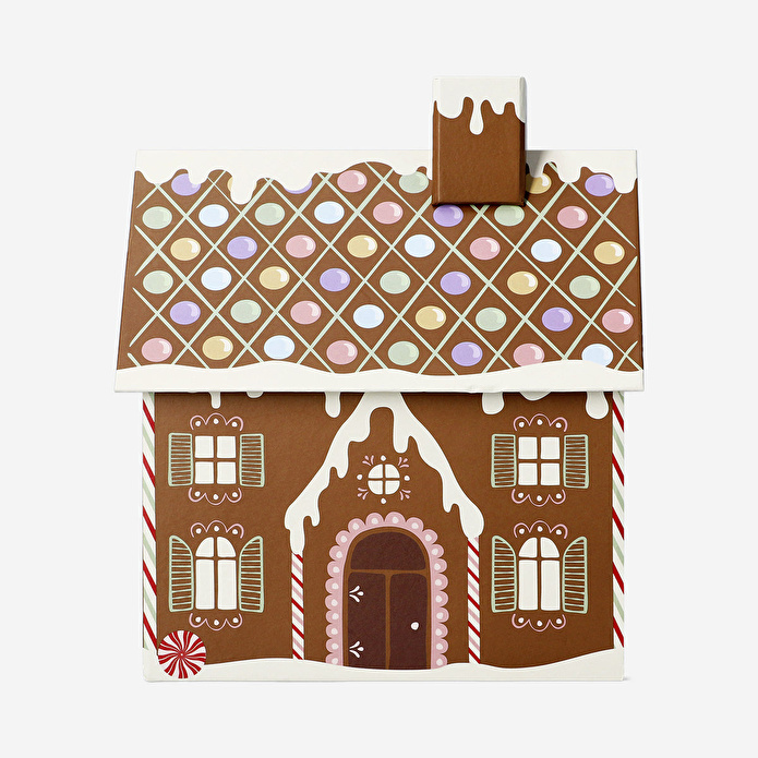 Flying Tiger Copenhagen Kurabiye Ev Şeklinde Hediye Kutusu