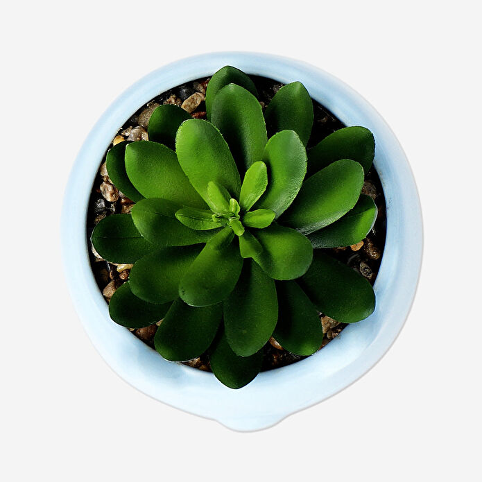 Flying Tiger Copenhagen Kedi Şeklinde Seramik Saksıda Yapay Bitki