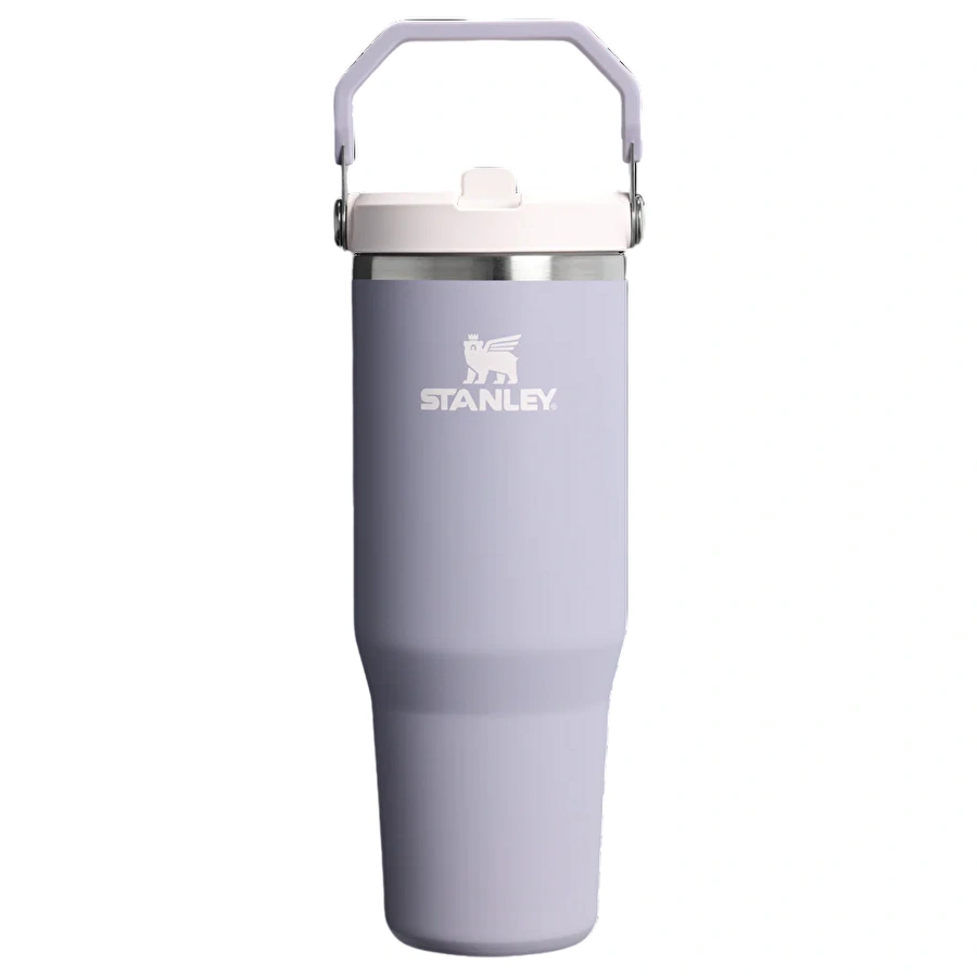 Stanley The IceFlow Flip Straw Pipetli Termos Bardak 890 Ml Purple Dust