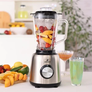 Smoothie Blender