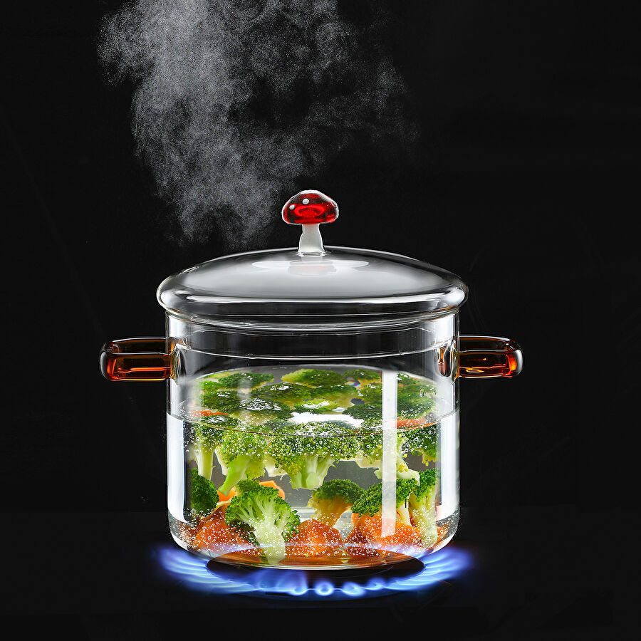 Borglas Pilz Serie Cam Derin Tencere 18 cm