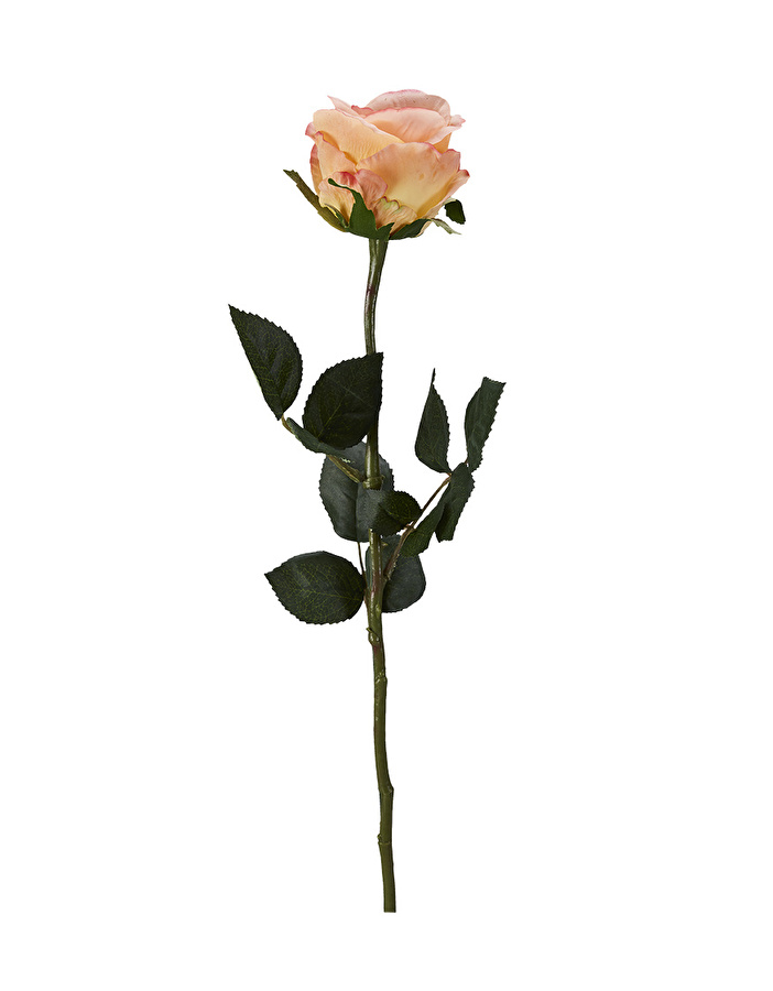 Karaca Home Orange Gül 67 cm