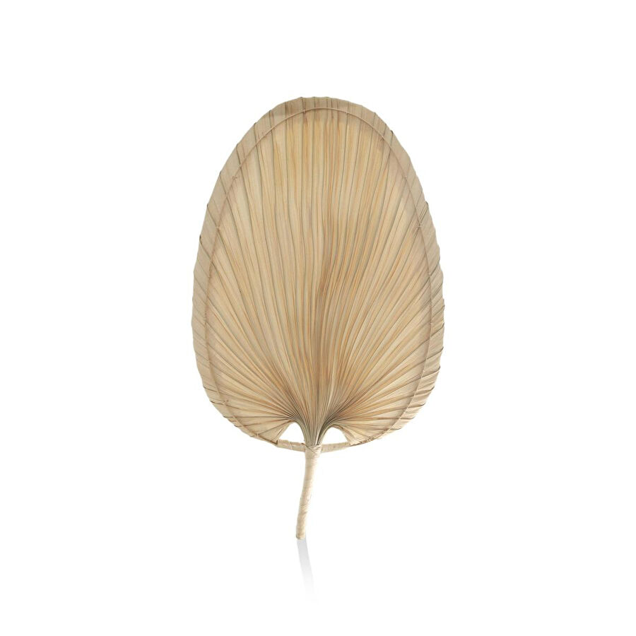 The Mia Dekoratif Palmiye Yaprağı 2x28x52 Cm
